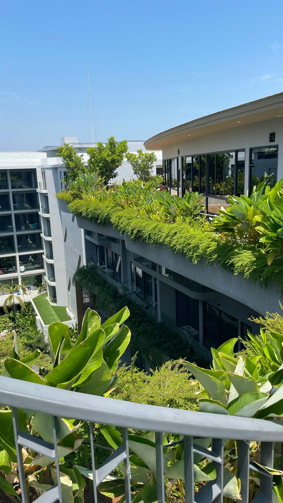 Green Roofs