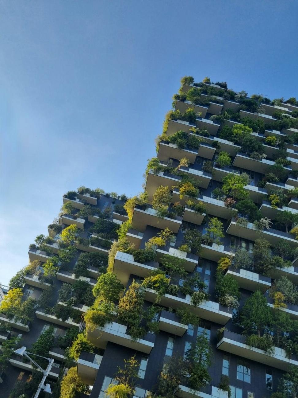 Urban design project