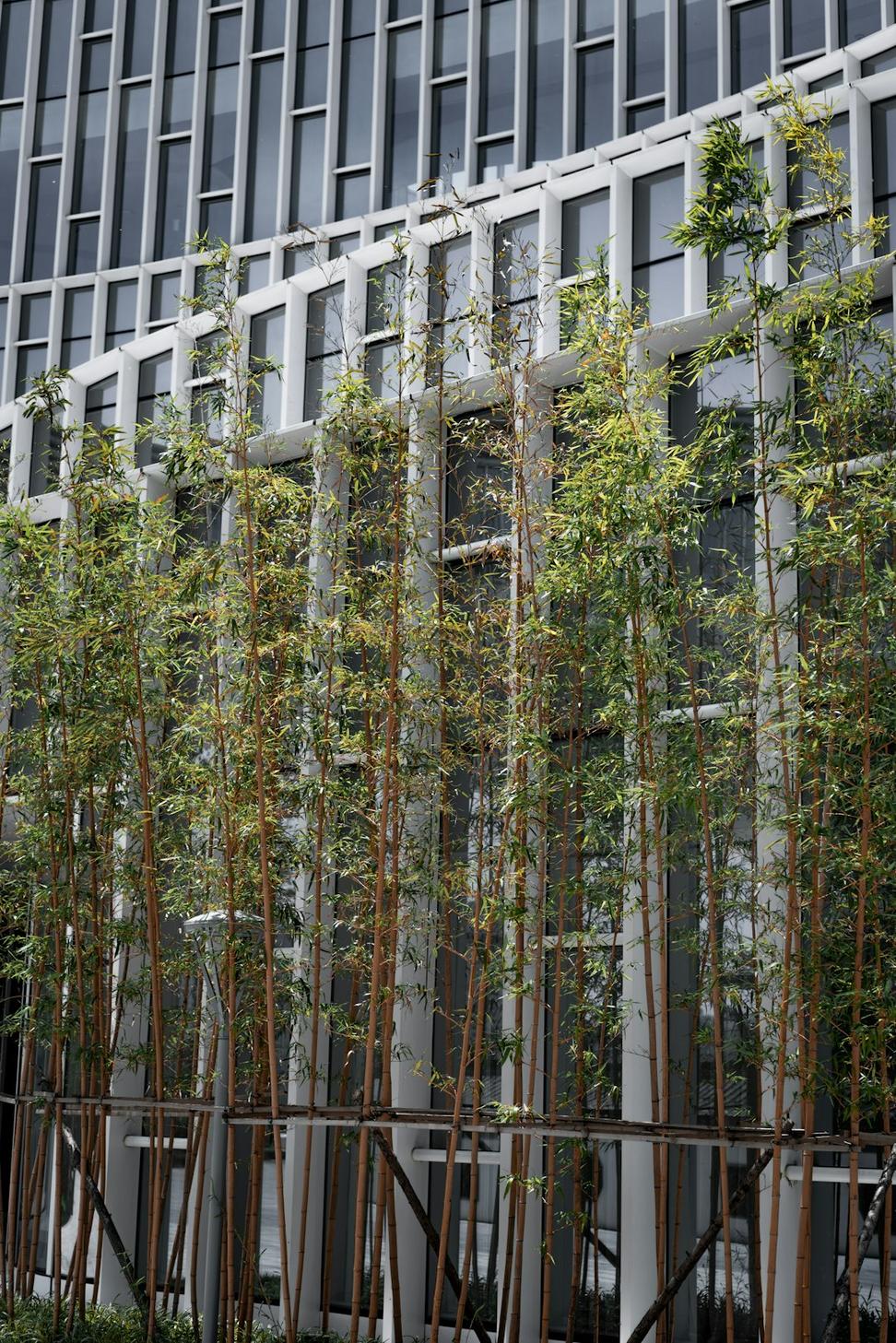 Sustainable commercial buildings